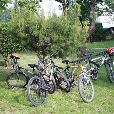 Holiday home Radmila Premantura